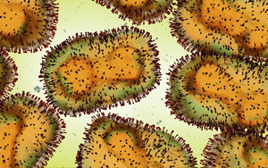 猴痘病毒檢測原料（涵蓋診斷酶、抗原、抗體），西寶生物助力猴痘檢測