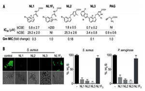 抗生素濫用問(wèn)題如何解決？Science 新研究揭示抗生素輔助抑制劑的新進(jìn)展