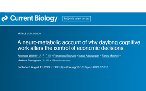 不知道大腦疲勞的真正原因，千萬別輕易決策