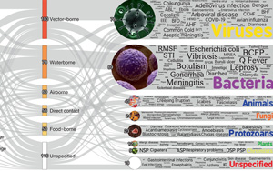 極端高溫只是開始，更致命的警告在后面：58%人類病原體獲得強化