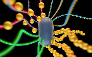 《Nature》創(chuàng)造具有逼真功能的人工細(xì)胞！