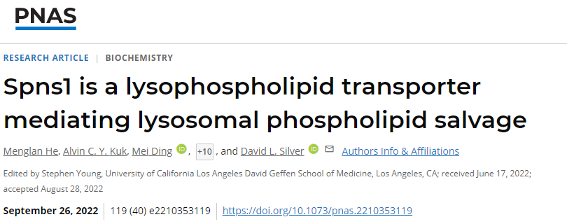 科學家發(fā)現(xiàn)溶酶體中的蛋白質(zhì)參與循環(huán)細胞膜中重要的脂質(zhì)成分以保持細胞健康 科學家發(fā)現(xiàn)溶酶體中的蛋白質(zhì)參與循環(huán)細胞膜中重要的脂質(zhì)成分以保持細胞健康