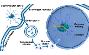 將諾貝爾獎(jiǎng)技術(shù)與治療技術(shù)結(jié)合，克服CRISPR一個(gè)關(guān)鍵限制