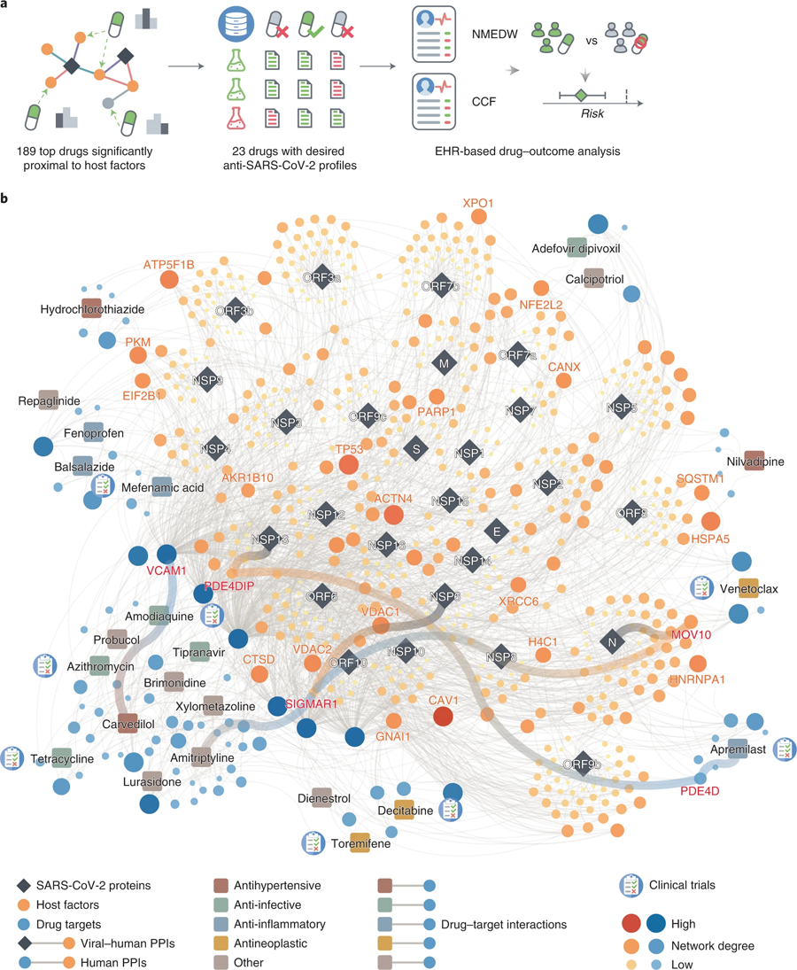 基于相互作用組的新冠肺炎宿主靶向治療的新發(fā)現(xiàn)