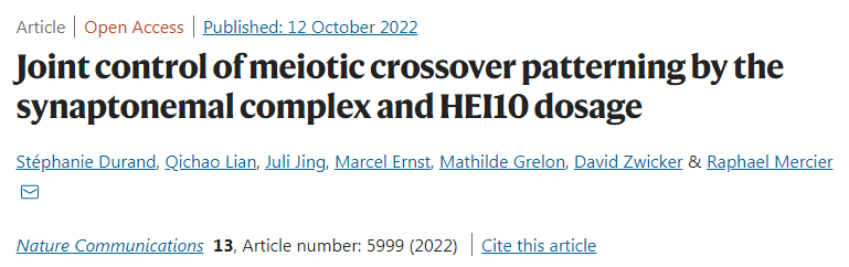 通過(guò)突觸復(fù)合體和HEI10聯(lián)合控制減數(shù)分裂交叉模式 通過(guò)突觸復(fù)合體和HEI10聯(lián)合控制減數(shù)分裂交叉模式