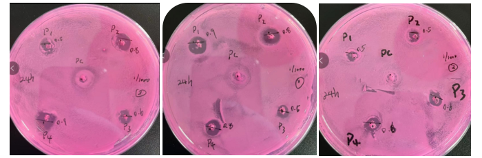 1/1000實(shí)驗(yàn)圖片