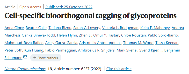 科學(xué)家團隊開發(fā)了新方法可以識別由特定類型的細胞釋放的蛋白質(zhì) 科學(xué)家團隊開發(fā)了新方法可以識別由特定類型的細胞釋放的蛋白質(zhì)