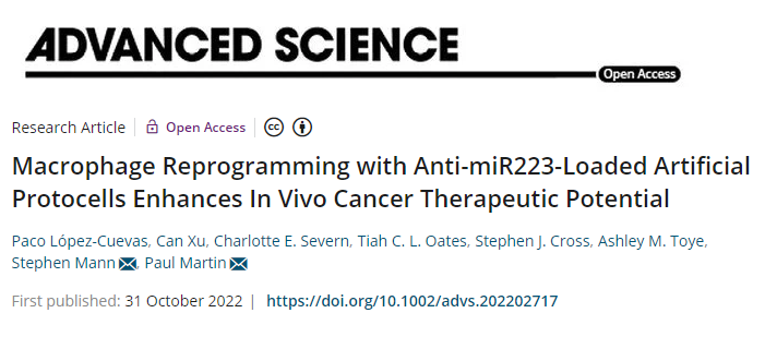 一種重新編程免疫細(xì)胞以縮小或殺死癌細(xì)胞的新方法 一種重新編程免疫細(xì)胞以縮小或殺死癌細(xì)胞的新方法