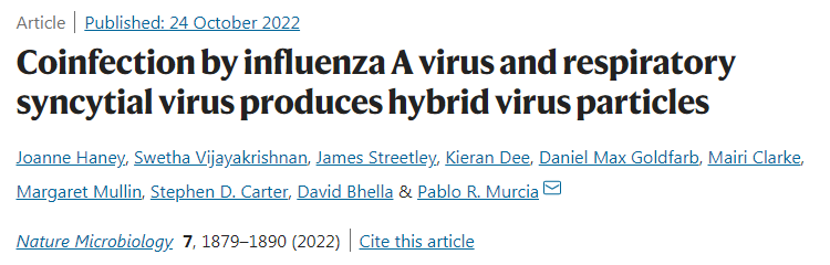 研究發(fā)現(xiàn)兩種常見呼吸道病毒IAV和RSV相互融合形成了一種圈子內(nèi)的混合病毒 研究發(fā)現(xiàn)兩種常見呼吸道病毒IAV和RSV相互融合形成了一種圈子內(nèi)的混合病毒