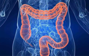 曬太陽真的能防癌？186國數(shù)據(jù)研究重磅出爐，紫外線照射不足或成結直腸癌潛在致病原因