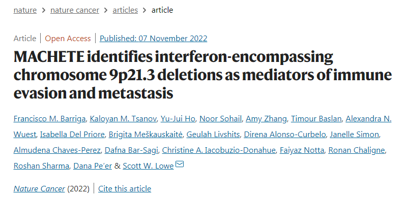 使用MACHETE，研究人員發(fā)現(xiàn)一個明顯的缺失通常會消除一組干擾素基因，導(dǎo)致胰腺癌和黑色素瘤小鼠模型的預(yù)后較差