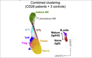 這類人群感染HPV后可能成為“樹人”！Cell揭示CD28缺乏與HPV易感性之間的關系