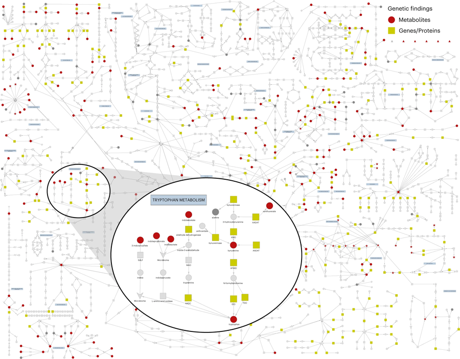 已建立的代謝途徑圖 已建立的代謝途徑圖