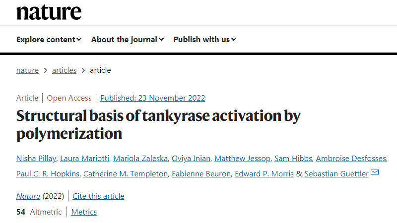 科學家們已經(jīng)揭示了一種涉及廣泛細胞過程的關鍵蛋白質的內部工作原理