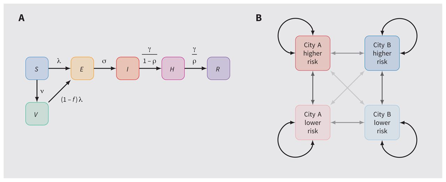 分配猴痘病毒疫苗模型結(jié)構(gòu) 分配猴痘病毒疫苗模型結(jié)構(gòu)