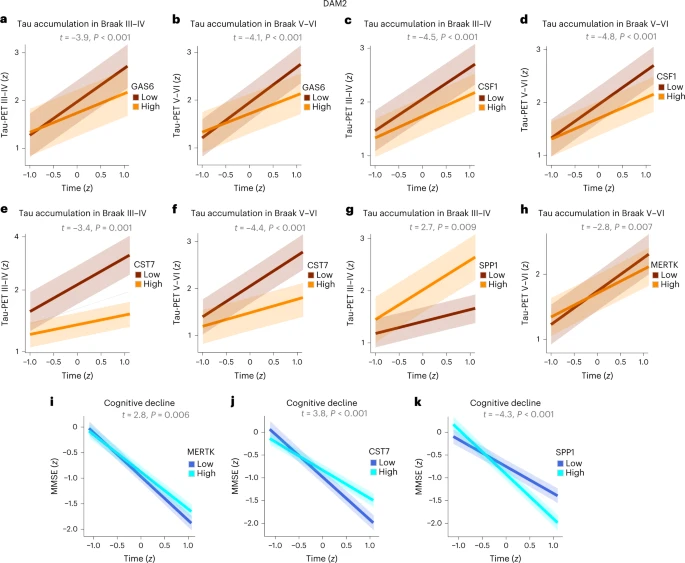 較高的DAM2標(biāo)記物可防止AD患者未來tau蛋白積累和認(rèn)知能力下降 較高的DAM2標(biāo)記物可防止AD患者未來tau蛋白積累和認(rèn)知能力下降