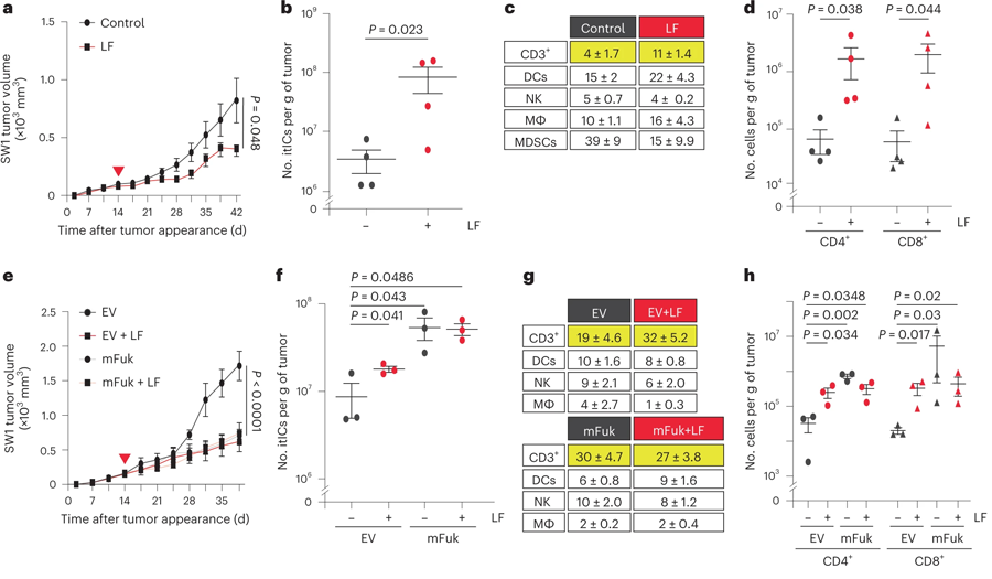提升黑色素瘤的巖藻糖基化程度抑制了腫瘤生長并增加itIC豐度