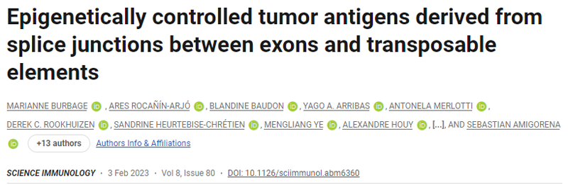 表觀遺傳控制的腫瘤抗原來(lái)源于外顯子和轉(zhuǎn)座元件之間的剪接連接