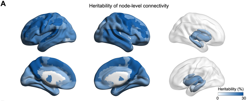 90個節(jié)點的連接顯示出遺傳力顯著基于SNP 90個節(jié)點的連接顯示出遺傳力顯著基于SNP