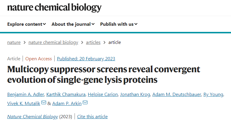 開發(fā)了一種高通量基因篩查方法識別單基因裂解蛋白(single-gene lysis proteins) 開發(fā)了一種高通量基因篩查方法識別單基因裂解蛋白(single-gene lysis proteins)