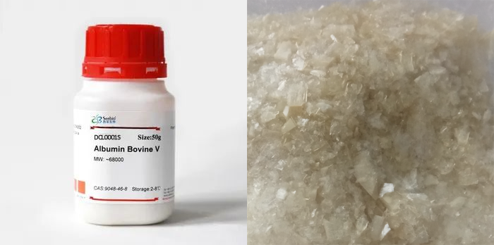 牛血清白蛋白，BSA，第五組分