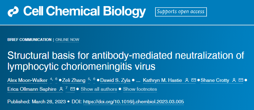 研究表明一種抗體可以結(jié)合并中和LCMV 研究表明一種抗體可以結(jié)合并中和LCMV