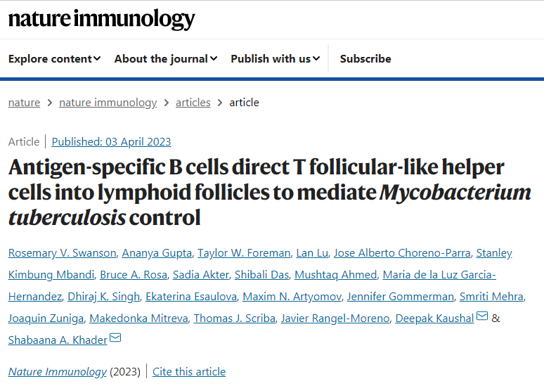 芝加哥大學(xué)和圣路易斯華盛頓大學(xué)的科學(xué)家們表明免疫細(xì)胞B細(xì)胞在免疫過(guò)程中的作用 芝加哥大學(xué)和圣路易斯華盛頓大學(xué)的科學(xué)家們表明免疫細(xì)胞B細(xì)胞在免疫過(guò)程中的作用