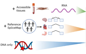 Nature Genetics：人類組織的異常剪接預(yù)測
