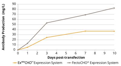按照標(biāo)準(zhǔn)操作手冊轉(zhuǎn)染Ex**CHO<sup>TM</sup>細(xì)胞