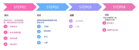 病理技術(shù)檢測服務(wù)流程