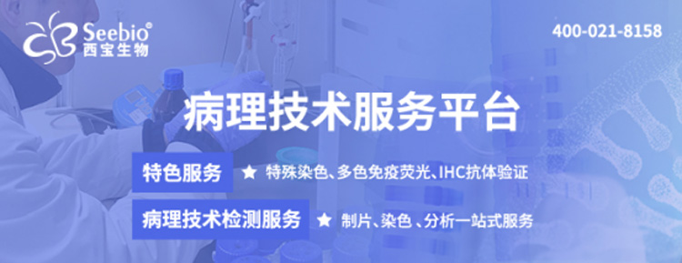 病理技術(shù)檢測服務(wù)