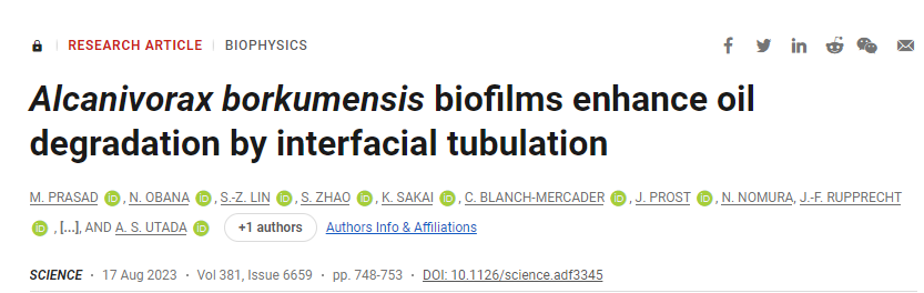 研究揭示了特殊細菌如何優(yōu)化油的生物降解和消耗