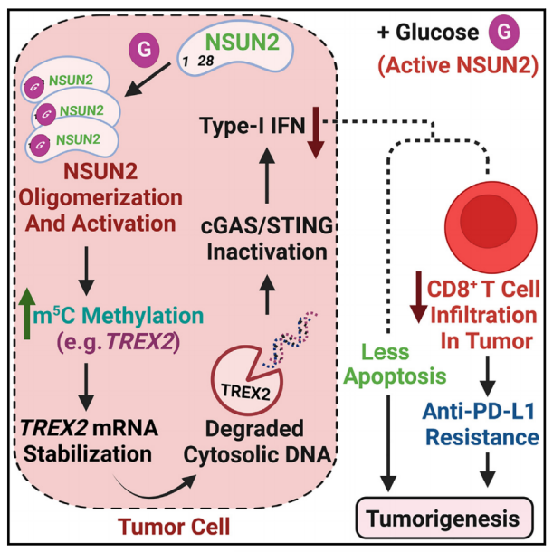 機理模式圖 機理模式圖