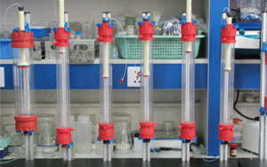 降“層析介質(zhì)”成本，增“分離純化”效率