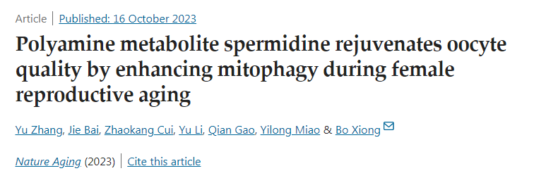 多胺代謝產(chǎn)物亞精胺在女性生殖衰老過程中通過增強線粒體自噬使卵母細(xì)胞質(zhì)量恢復(fù)活力