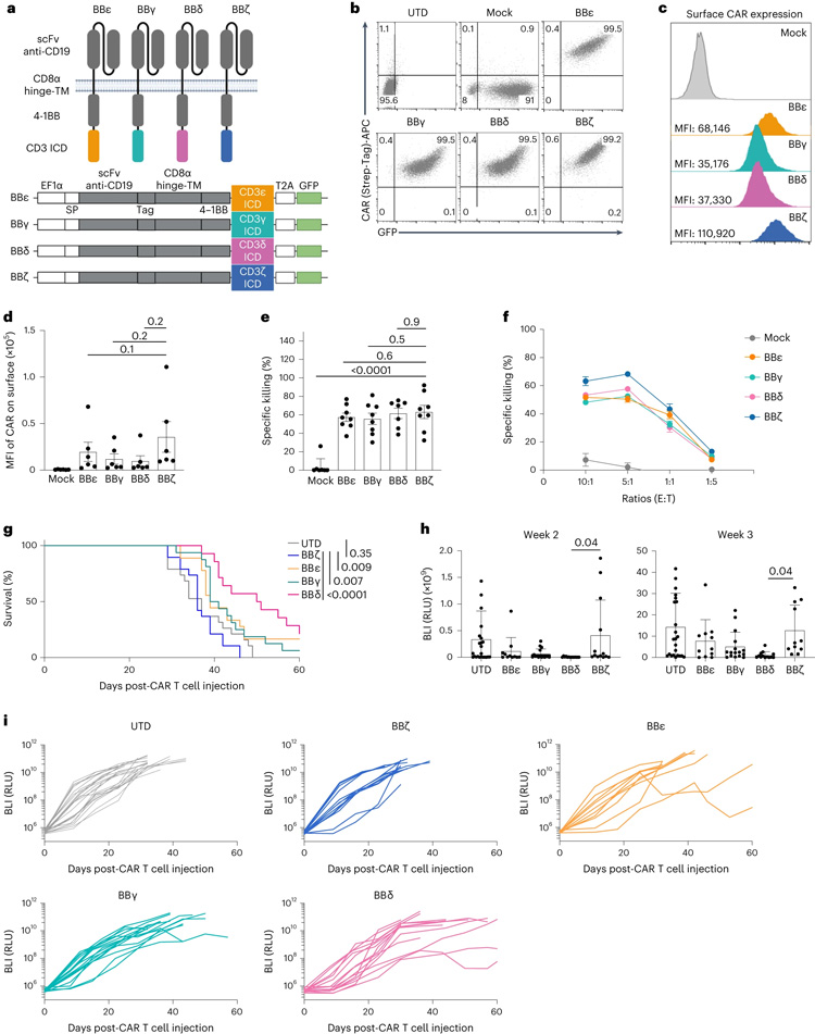 含有CD3δ/ε/γICD的CAR優(yōu)于含有ζ的CAR 含有CD3δ/ε/γICD的CAR優(yōu)于含有ζ的CAR