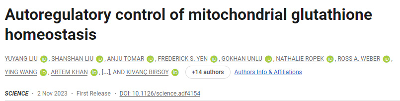 線粒體谷胱甘肽穩(wěn)態(tài)的自我調(diào)節(jié)控制 線粒體谷胱甘肽穩(wěn)態(tài)的自我調(diào)節(jié)控制