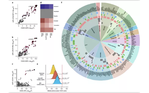 高血壓遺傳嗎？Nature子刊揭示高血壓的遺傳機制