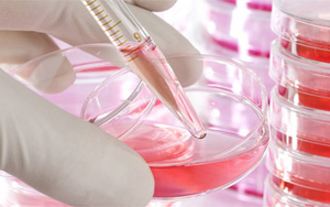  診斷級(jí)牛血清白蛋白（BSA）