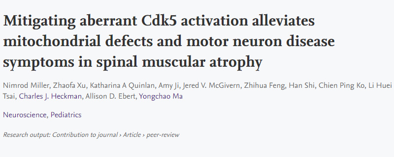 導(dǎo)致脊髓性肌萎縮癥(SMA)運(yùn)動神經(jīng)元退化的新機(jī)制