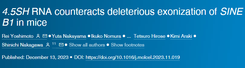 4.5SH RNA對(duì)抗小鼠SINE B1的有害外顯子作用 4.5SH RNA對(duì)抗小鼠SINE B1的有害外顯子作用