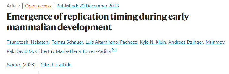 哺乳動(dòng)物早期發(fā)育過(guò)程中復(fù)制時(shí)機(jī)的出現(xiàn) 哺乳動(dòng)物早期發(fā)育過(guò)程中復(fù)制時(shí)機(jī)的出現(xiàn)