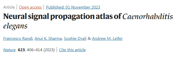 秀麗隱桿線蟲的神經(jīng)信號傳播圖譜
