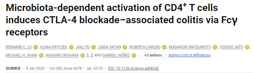 CD4+T細(xì)胞的微生物群依賴性激活通過Fcγ受體誘導(dǎo)CTLA-4阻斷相關(guān)結(jié)腸炎 CD4+T細(xì)胞的微生物群依賴性激活通過Fcγ受體誘導(dǎo)CTLA-4阻斷相關(guān)結(jié)腸炎