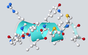 “繁花”盛開，細數多肽藥物的星辰大海