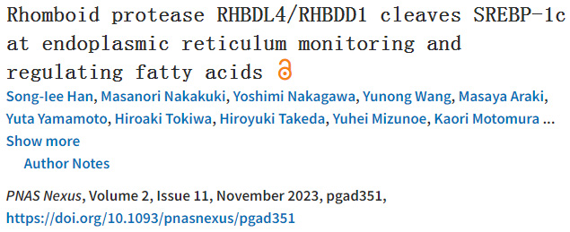 SREBP-1c裂解酶是脂肪酸生物合成的關鍵角色