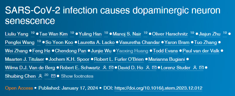可溶性多價(jià)Jag1DNA折疊納米模板在沒(méi)有外力作用下激活細(xì)胞受體Notc 可溶性多價(jià)Jag1DNA折疊納米模板在沒(méi)有外力作用下激活細(xì)胞受體Notc