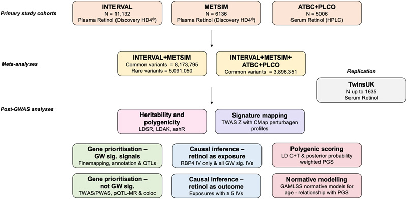 循環(huán)視黃醇全基因組分析研究設(shè)計綜述 循環(huán)視黃醇全基因組分析研究設(shè)計綜述