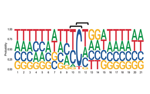 6次入院治療！連漫威英雄“金剛狼”都畏懼的這種癌癥，到底因何而起？
