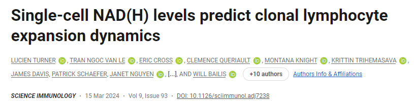 單細(xì)胞NAD(H)水平預(yù)測(cè)克隆性淋巴細(xì)胞擴(kuò)增動(dòng)力學(xué) 單細(xì)胞NAD(H)水平預(yù)測(cè)克隆性淋巴細(xì)胞擴(kuò)增動(dòng)力學(xué)